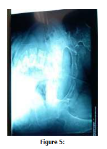 clinical-rheumatology