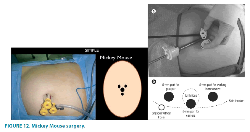 clinical-practice-Mouse-surgery