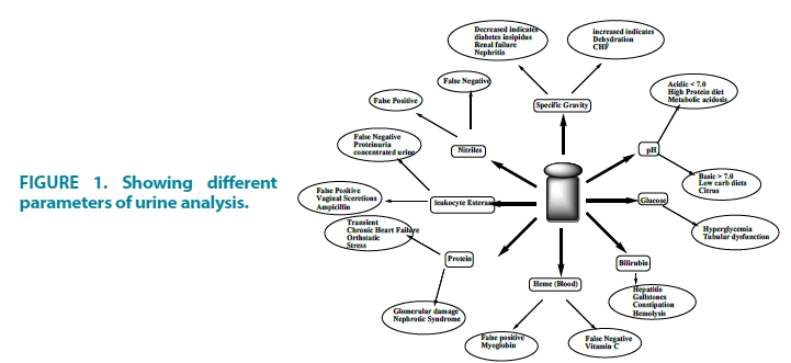 clinical-practice-urine-analysis