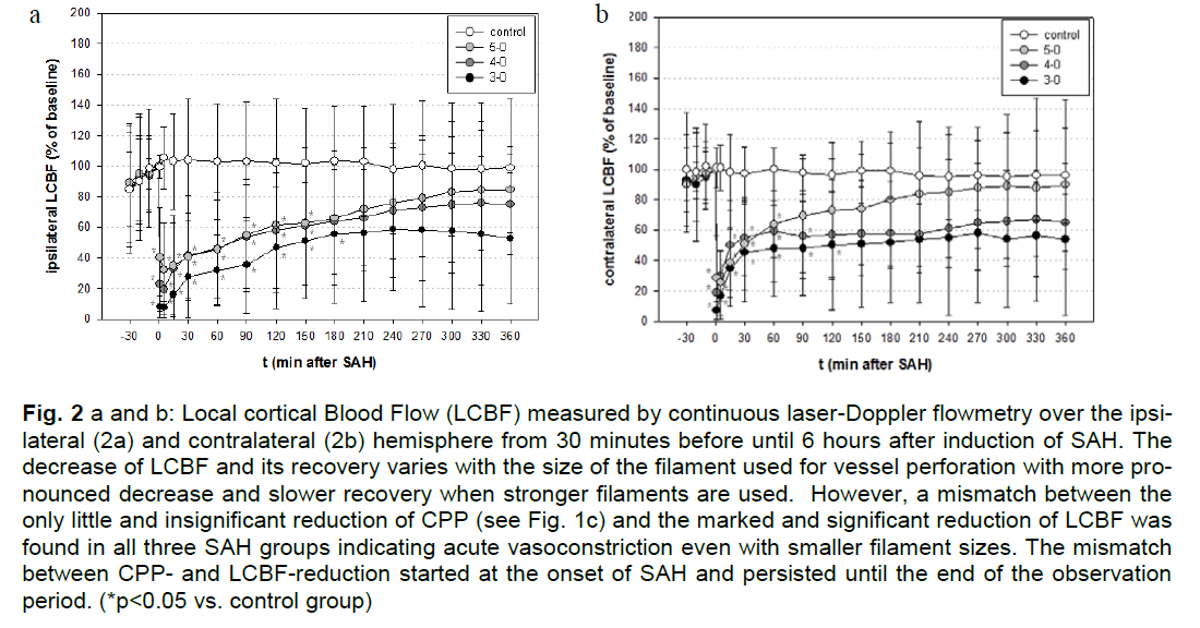 experimental-stroke-translational-medicine-Blood-Flow