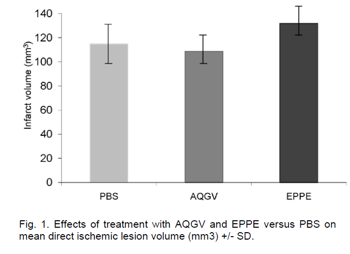 experimental-stroke-translational-medicine-ischemic-lesion