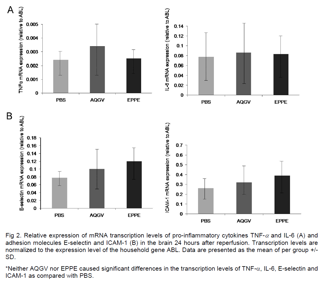 experimental-stroke-translational-medicine-pro-inflammatory-cytokines