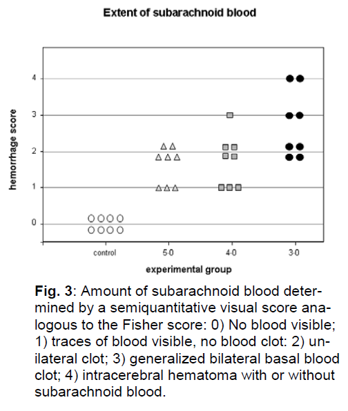 experimental-stroke-translational-medicine-subarachnoid-blood