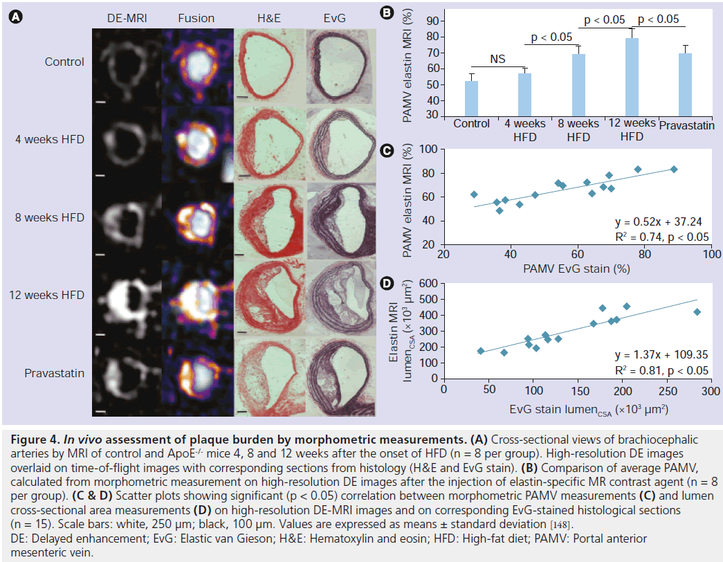 imaging-in-medicine-High-resolution