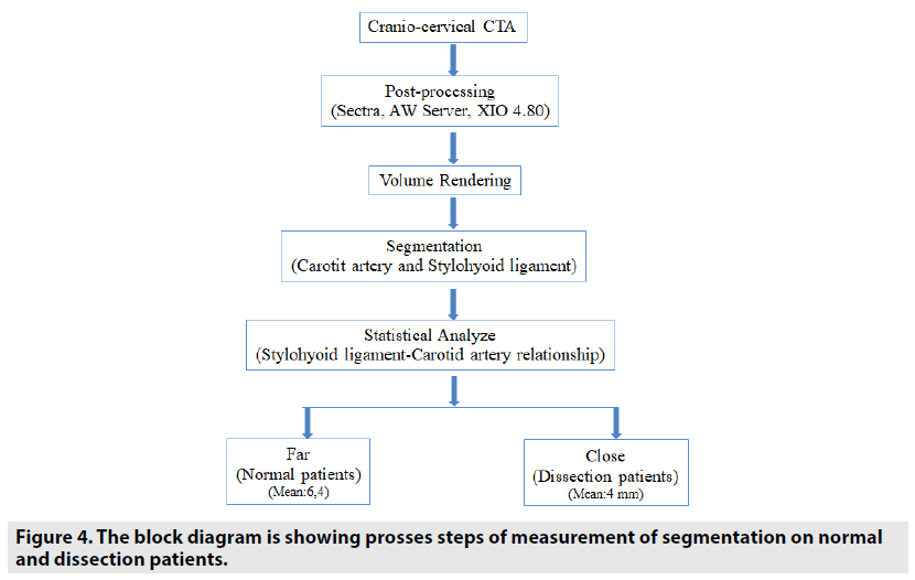 imaging-in-medicine-block-diagram