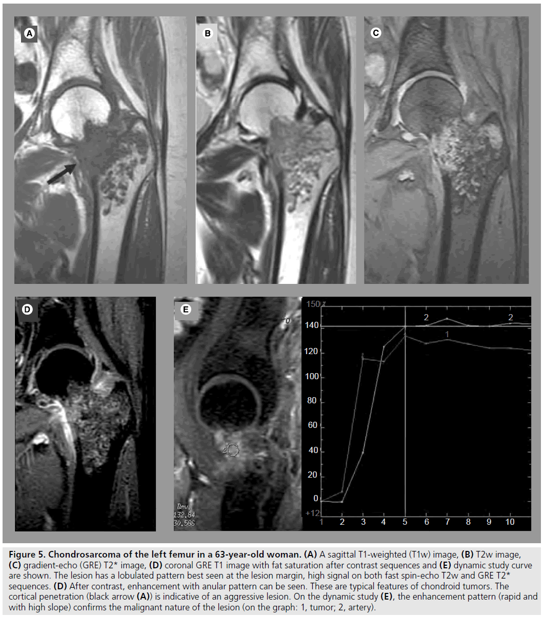 imaging-in-medicine-contrast-sequences