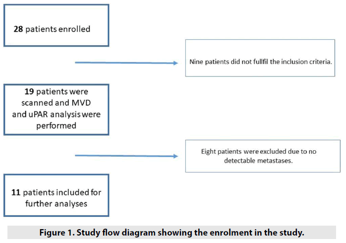 imaging-in-medicine-flow-diagram