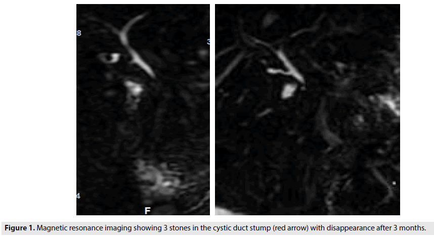 imaging-in-medicine-magnetic-resonance-imaging