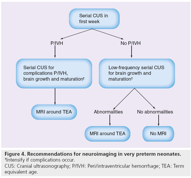 imaging-in-medicine-neuroimaging