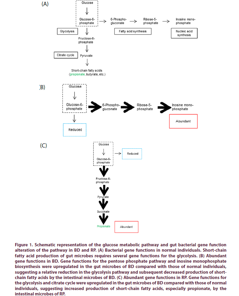 international-journal-clinical-rheumatology-decreased-production