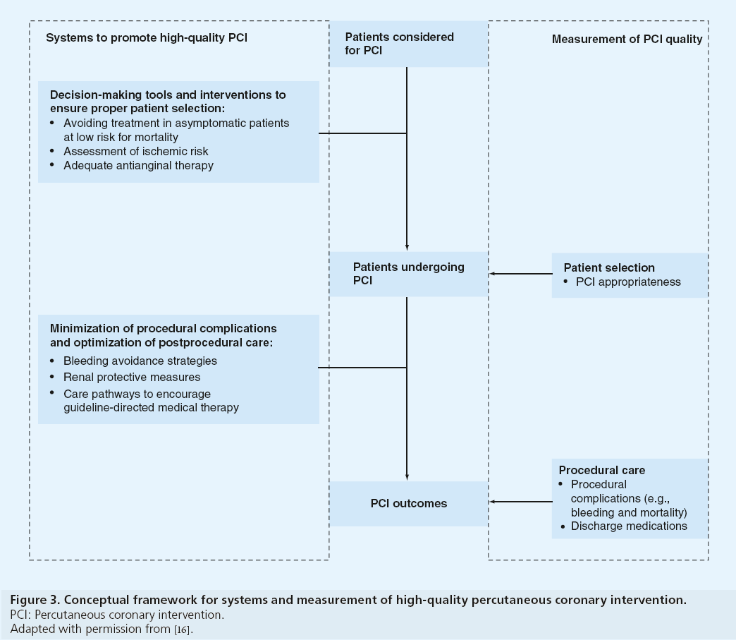 interventional-cardiology-Conceptual-framework