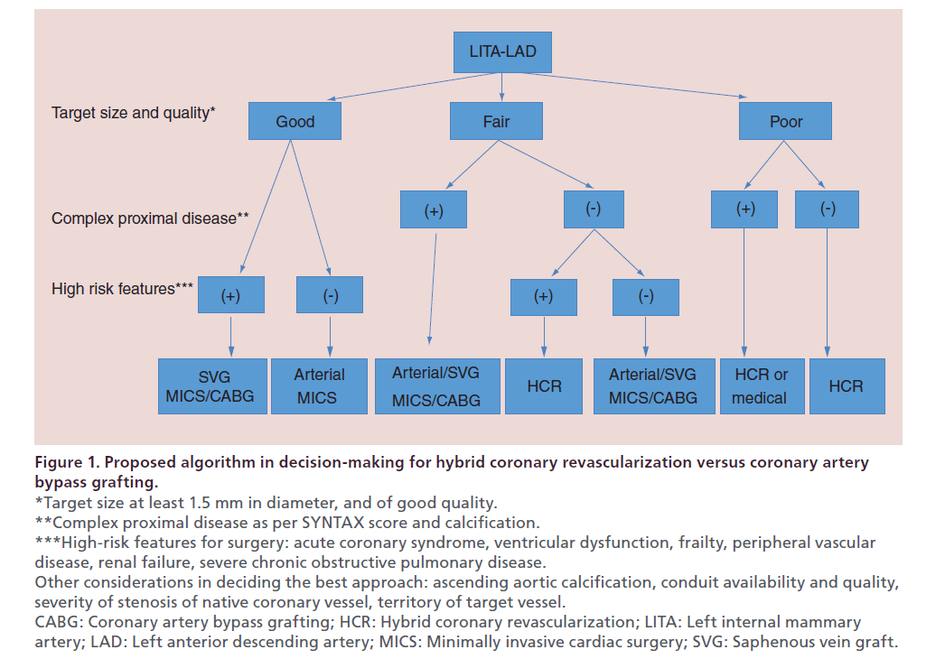 interventional-cardiology-Proposed-algorithm