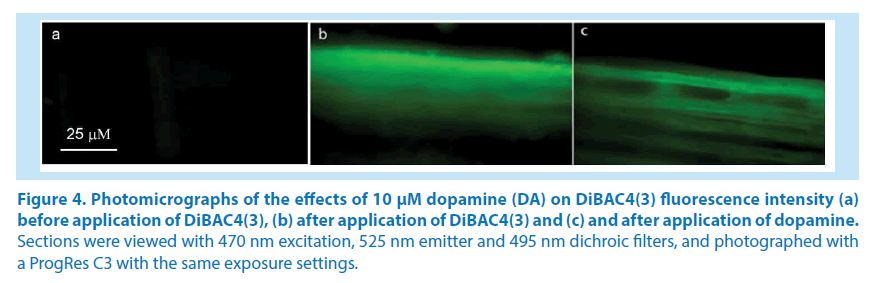 pharmaceutical-bioprocessing-application-dopamine