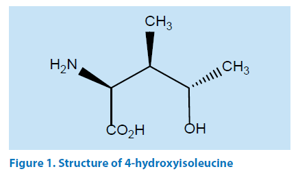 pharmaceutical-bioprocessing-hydroxyisoleucine